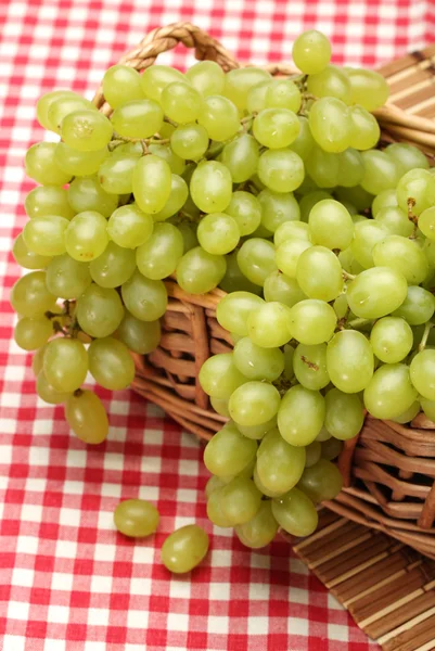 Green grapes Royalty Free Stock Images
