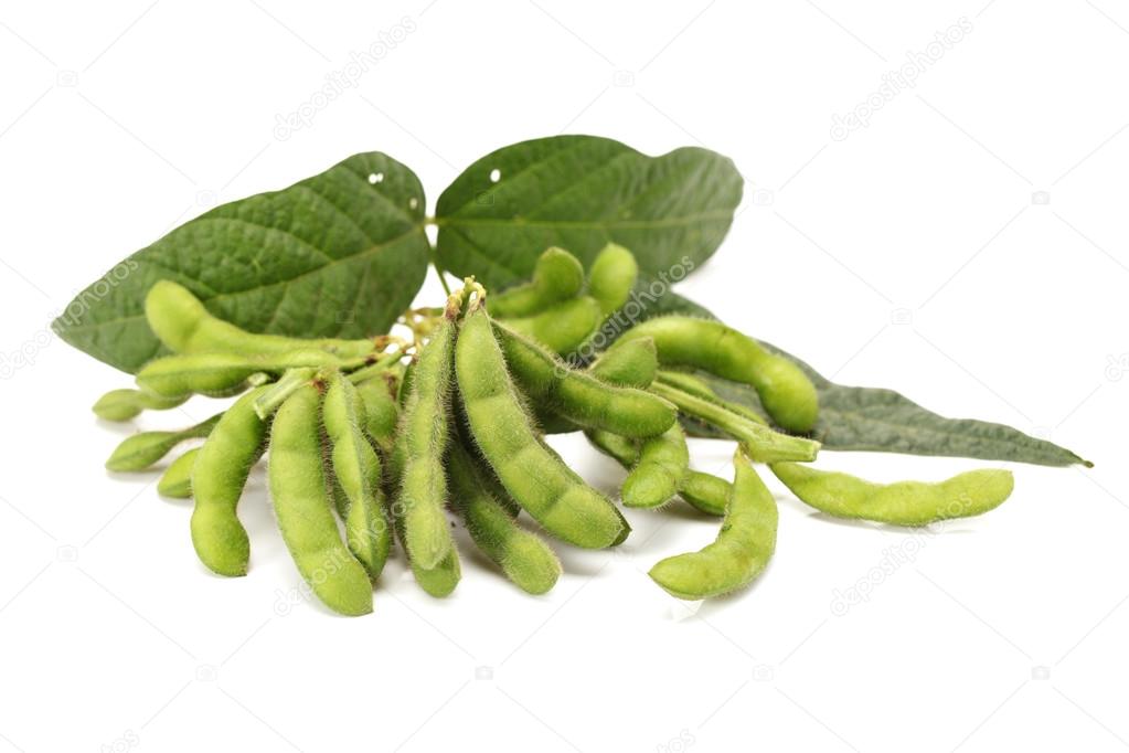 Green soy bean on white background