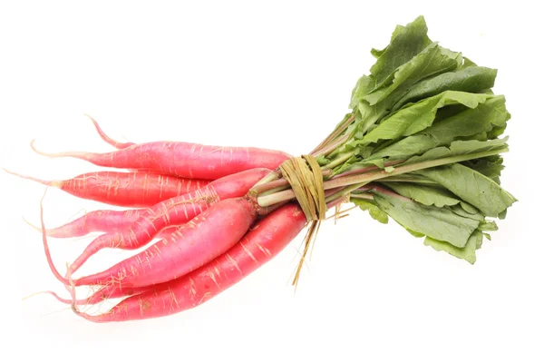 Radish on white background — Stock Photo, Image