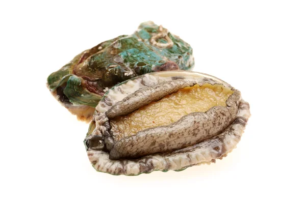 Abaloni greggi — Foto Stock