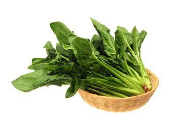 Ispanak üzerinde beyaz arka plan