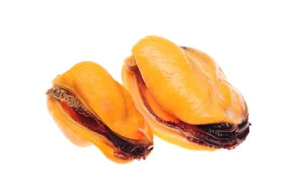 Mejillones cocidos sobre fondo blanco . — Foto de Stock