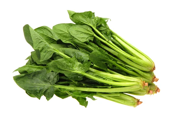 Spinach on white background — Stock Photo, Image
