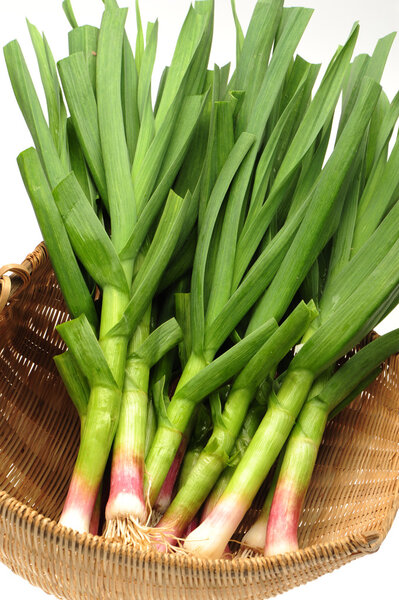 Young green garlic leaves isolated on white background
