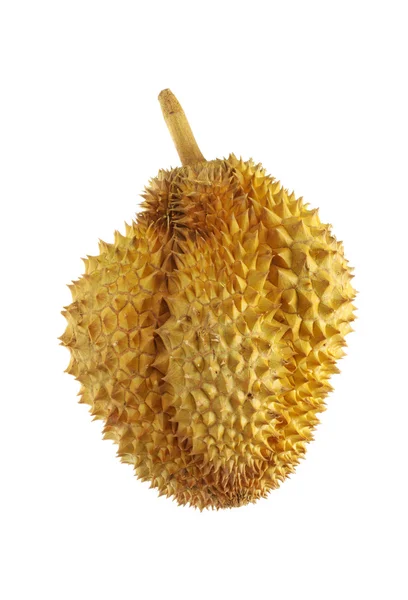 Durian na białym tle — Zdjęcie stockowe