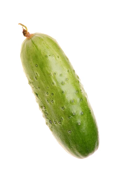 Cucumber — Stock Photo, Image