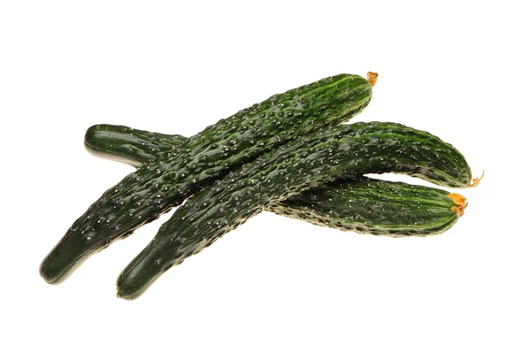 Cucumber — Stock Photo, Image