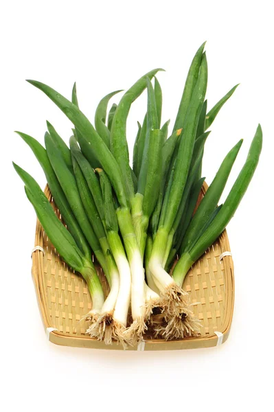 Green Onion — Stock Photo, Image