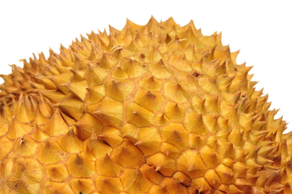Durian beyaz arkaplanda — Stok fotoğraf