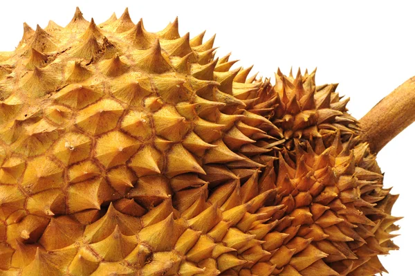 Durian su sfondo bianco — Foto Stock