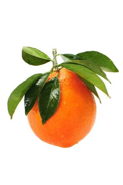 Owoce pomarańczy izolowane na białym tle — Zdjęcie stockowe