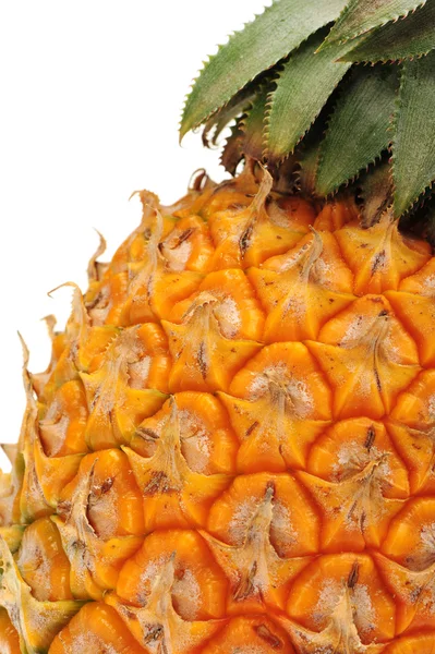 Ananas — Zdjęcie stockowe