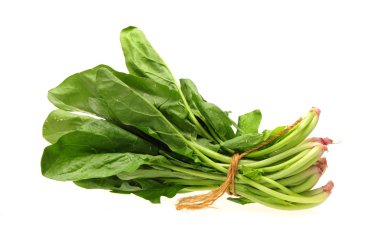 Ispanak üzerinde beyaz arka plan