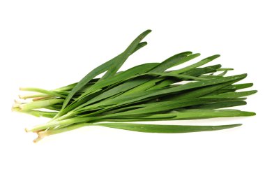 beyaz zemin üzerine pırasa