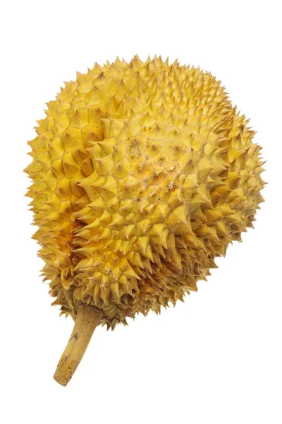 Durian op witte achtergrond — Stockfoto