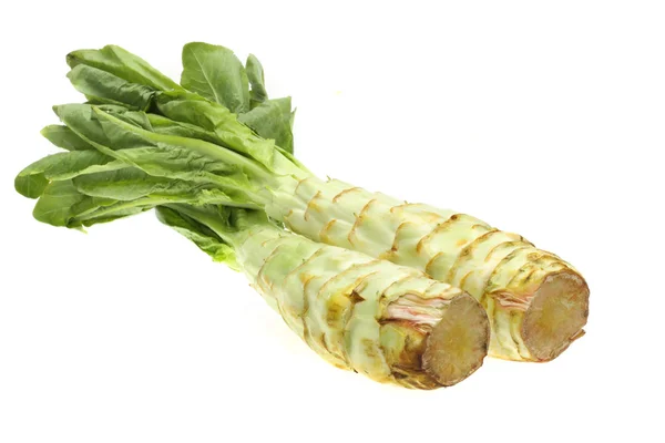 Asparagus lettuce on white background — Stock Photo, Image