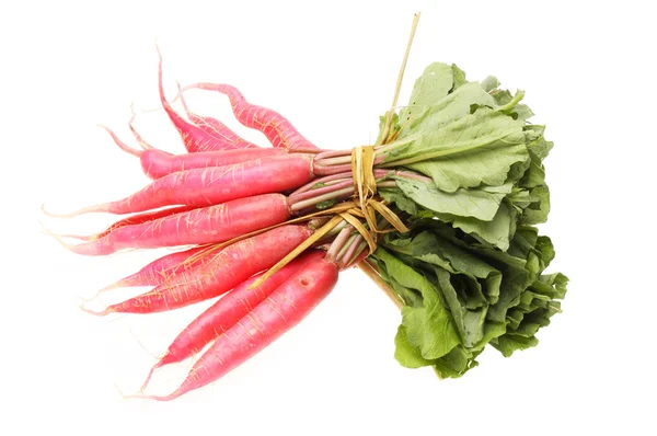 Radish on white background — Stock Photo, Image