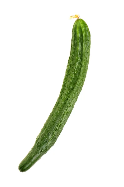 Cucumber — Stock Photo, Image