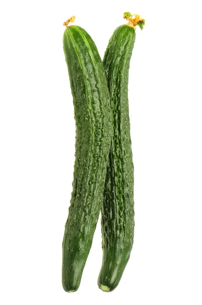 Cucumber — Stock Photo, Image