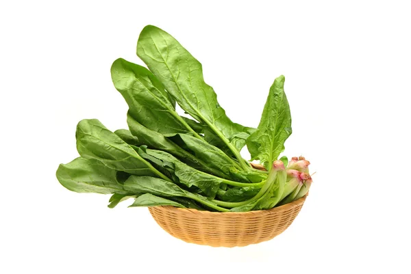 Spinach on white background — Stock Photo, Image