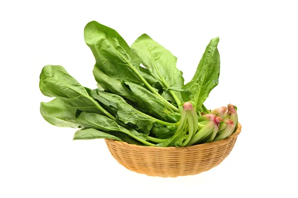 Spinach on white background — Stock Photo, Image