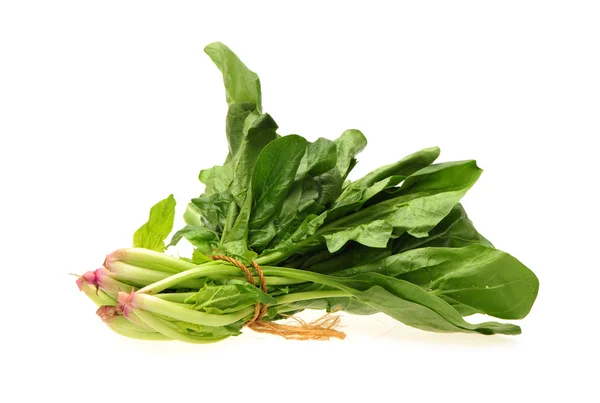 Spinach on white background — Stock Photo, Image