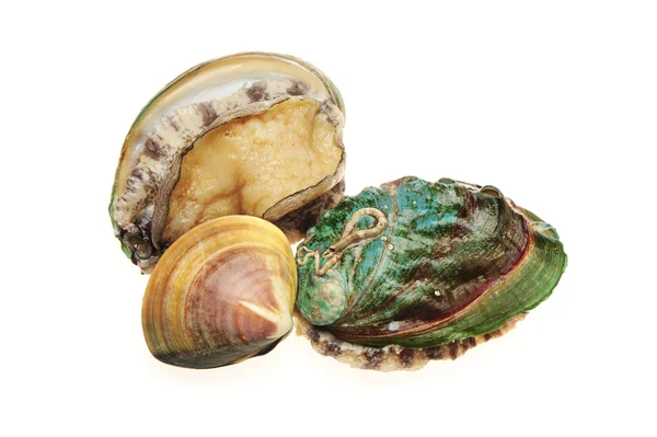 Abalones grezzi sullo sfondo bianco — Foto Stock