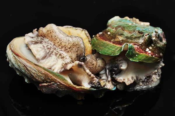 Råa abalones på den vita bakgrunden — Stockfoto