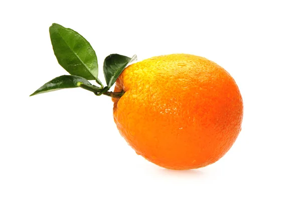 Fruto naranja aislado sobre fondo blanco — Foto de Stock