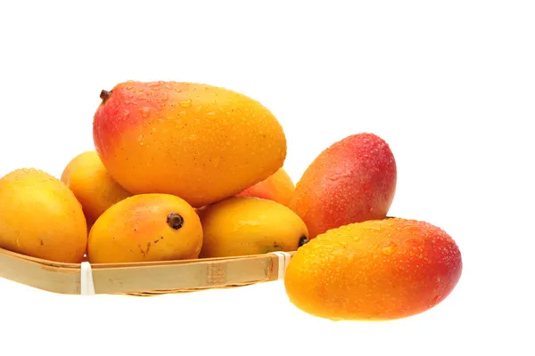 Mango — Zdjęcie stockowe