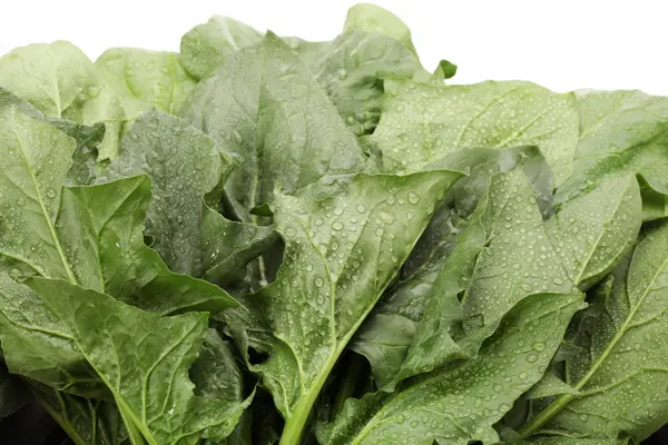 Spinach on white background — Stock Photo, Image