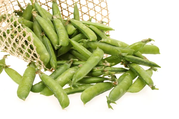 Ripe pea vegetable, Isolated on white background — Stock Photo, Image