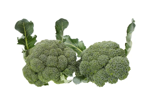 Broccoli — Stockfoto