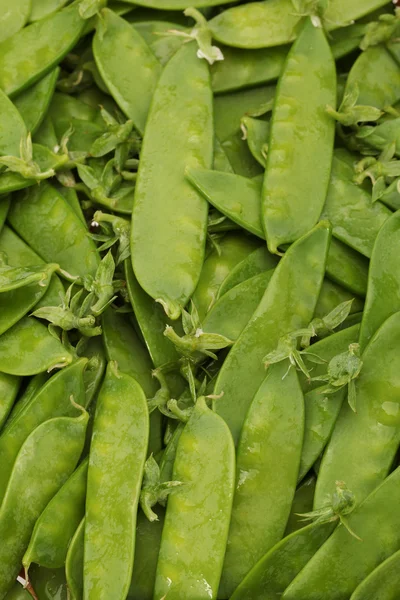 Snow peas — Stock Photo, Image