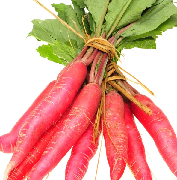 Radish on white background — Stock Photo, Image