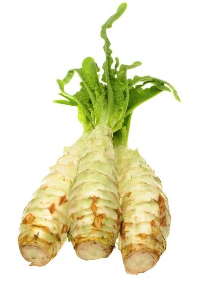 Asparagus lettuce on white background — Stock Photo, Image