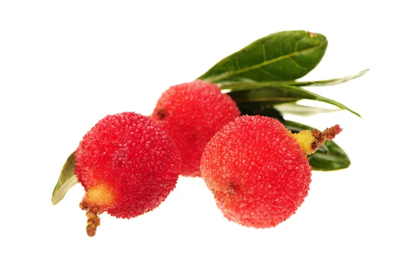 Erdbeerbaum auf weißem Hintergrund — Stockfoto
