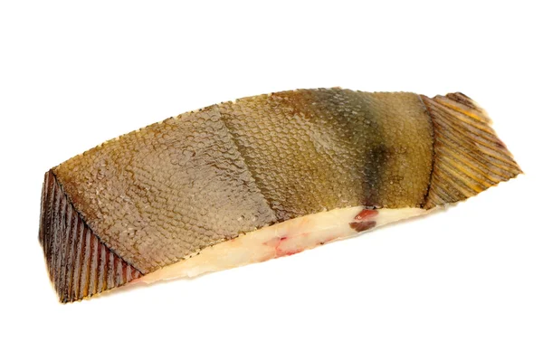 Flounder on a white background — Stock Photo, Image