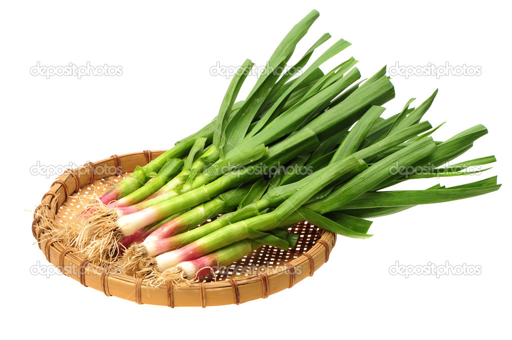 Young green garlic leaves isolated on white background