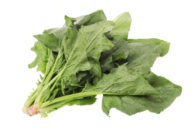 ıspanak