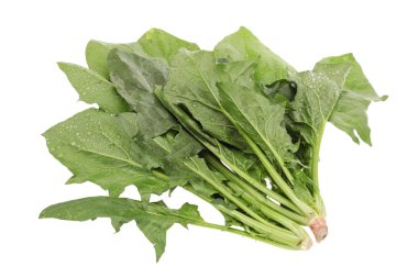 ıspanak