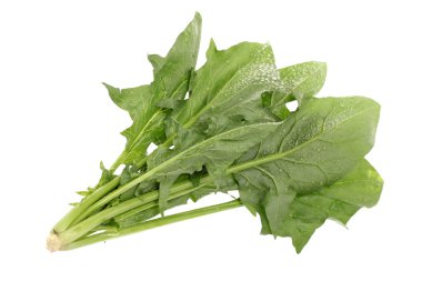 ıspanak