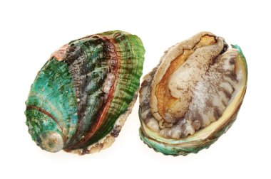 ham abalones