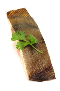 Beyaz bir arka plan üzerinde pisi balığı