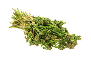 Fern izole üzerinde beyaz arka plan ateş et.