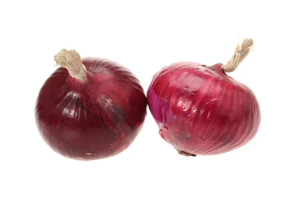 Rote Zwiebel — Stockfoto