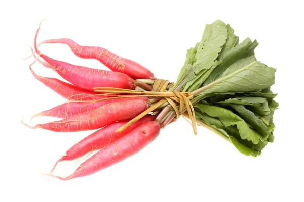Fresh red radish with green leaf on white background — Stockfoto