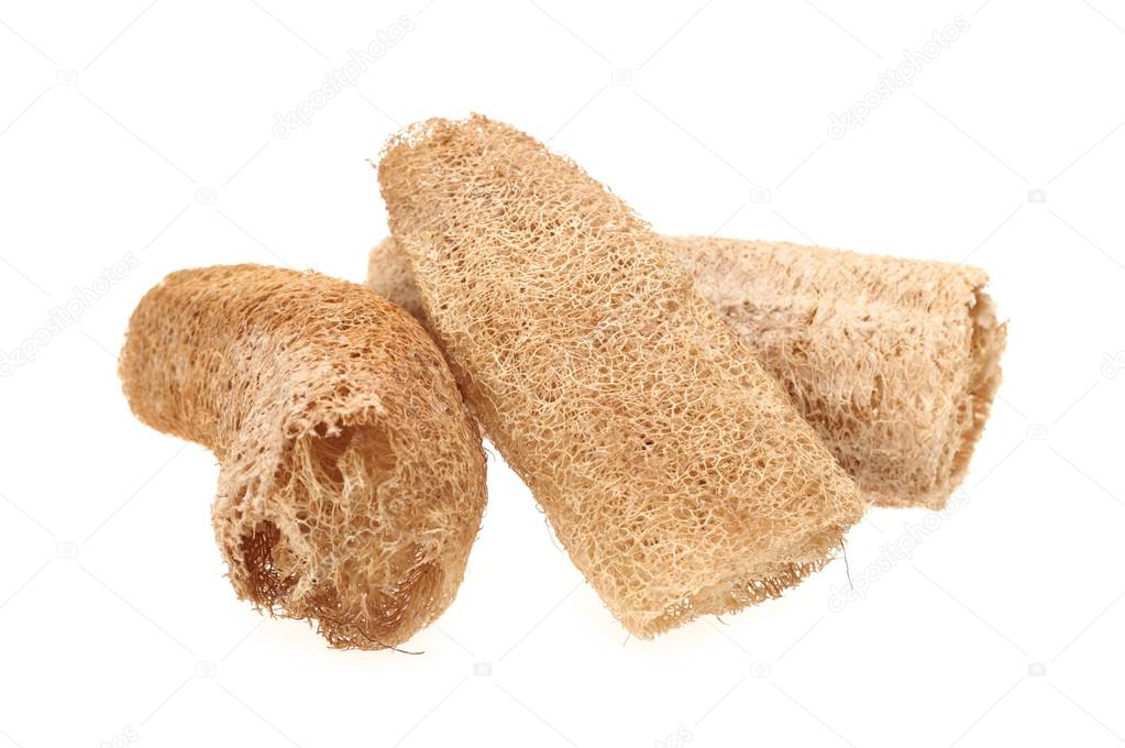 Natural loofah sponge on white background