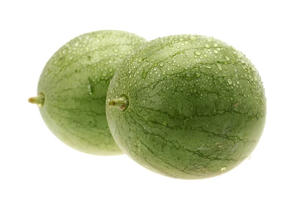 Ogórek melon na białym tle — Zdjęcie stockowe