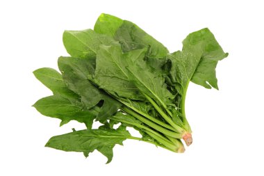 ıspanak